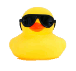 Ducks on Ships